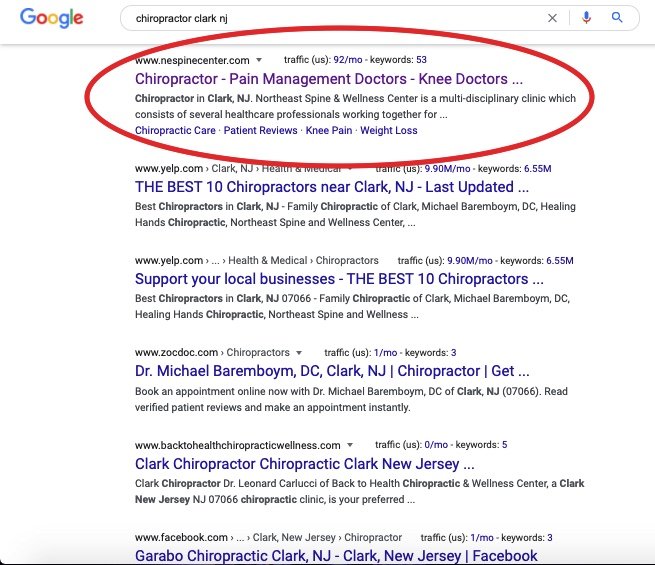Northeast Spine organic search growth